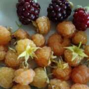 ヒメ日記 2025/06/20 10:24 投稿 和水（なごみ） PLUS難波店