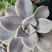 ヒメ日記 2025/07/09 17:33 投稿 和水（なごみ） PLUS難波店