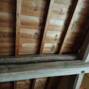 ヒメ日記 2025/07/17 15:24 投稿 和水（なごみ） PLUS難波店