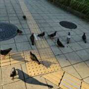 ヒメ日記 2025/07/22 20:34 投稿 和水（なごみ） PLUS難波店