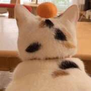 ヒメ日記 2025/09/30 21:04 投稿 和水（なごみ） PLUS難波店