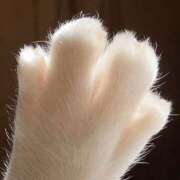 ヒメ日記 2025/10/03 16:22 投稿 和水（なごみ） PLUS難波店