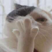 ヒメ日記 2025/10/09 18:34 投稿 和水（なごみ） PLUS難波店