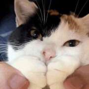 ヒメ日記 2025/11/28 21:24 投稿 和水（なごみ） PLUS難波店