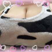 ヒメ日記 2025/03/14 13:00 投稿 工口かのん 五十路マダム 浜松店(カサブランカグループ)