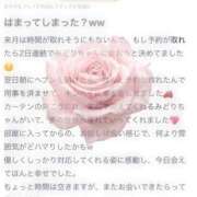 ヒメ日記 2026/04/09 18:04 投稿 みどり 金瓶梅(きんぺいぱい)(雄琴)