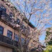 ヒメ日記 2025/03/21 14:46 投稿 るなぴよ イクイクサークル鶯谷店