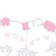 ヒメ日記 2025/04/02 12:36 投稿 るなぴよ イクイクサークル鶯谷店