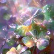 ヒメ日記 2025/07/22 17:43 投稿 るなぴよ イクイクサークル鶯谷店