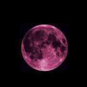 ヒメ日記 2025/08/01 09:56 投稿 るなぴよ イクイクサークル鶯谷店