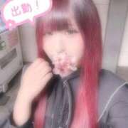 ヒメ日記 2026/04/15 11:42 投稿 るなぴよ イクイクサークル鶯谷店