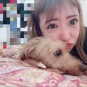 ヒメ日記 2025/09/26 09:21 投稿 ゆな プレイガール(亀有)