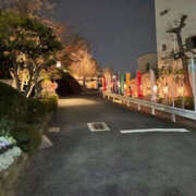 ヒメ日記 2025/03/27 20:01 投稿 ゆり 性腺熟女100％（デリヘル市場）