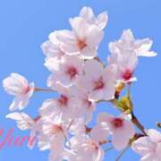 ヒメ日記 2025/04/05 15:04 投稿 ゆり 性腺熟女100％（デリヘル市場）