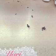 ヒメ日記 2025/05/18 10:07 投稿 ゆり 性腺熟女100％（デリヘル市場）