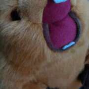 ヒメ日記 2025/03/13 18:03 投稿 くるみ ちゃんこ長野塩尻北IC店