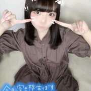 ヒメ日記 2025/03/12 11:03 投稿 かずは E+アイドルスクール品川店