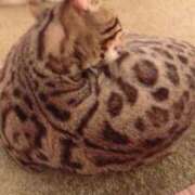 ヒメ日記 2025/03/09 00:09 投稿 松原　のりこ ギン妻パラダイス 谷九店