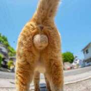 ヒメ日記 2025/03/13 14:10 投稿 松原　のりこ ギン妻パラダイス 谷九店