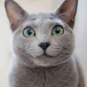 ヒメ日記 2025/04/20 18:26 投稿 松原　のりこ ギン妻パラダイス 谷九店