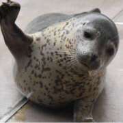 ヒメ日記 2025/05/01 18:32 投稿 松原　のりこ ギン妻パラダイス 谷九店