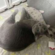 ヒメ日記 2025/05/04 14:22 投稿 松原　のりこ ギン妻パラダイス 谷九店