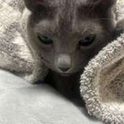 ヒメ日記 2025/05/05 14:00 投稿 松原　のりこ ギン妻パラダイス 谷九店