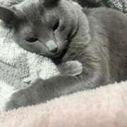 ヒメ日記 2025/05/10 20:15 投稿 松原　のりこ ギン妻パラダイス 谷九店