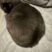 ヒメ日記 2025/05/12 20:40 投稿 松原　のりこ ギン妻パラダイス 谷九店