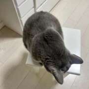 ヒメ日記 2025/05/14 01:07 投稿 松原　のりこ ギン妻パラダイス 谷九店