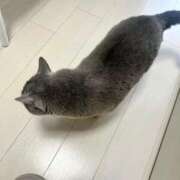 ヒメ日記 2025/05/14 14:11 投稿 松原　のりこ ギン妻パラダイス 谷九店