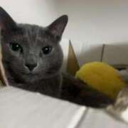 ヒメ日記 2025/05/19 23:27 投稿 松原　のりこ ギン妻パラダイス 谷九店