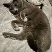 ヒメ日記 2025/05/22 22:14 投稿 松原　のりこ ギン妻パラダイス 谷九店