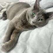 ヒメ日記 2025/05/26 15:10 投稿 松原　のりこ ギン妻パラダイス 谷九店