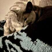 ヒメ日記 2025/05/26 18:13 投稿 松原　のりこ ギン妻パラダイス 谷九店