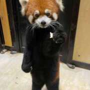 ヒメ日記 2025/05/27 12:46 投稿 松原　のりこ ギン妻パラダイス 谷九店