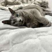 ヒメ日記 2025/06/01 20:29 投稿 松原　のりこ ギン妻パラダイス 谷九店