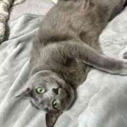 ヒメ日記 2025/06/03 13:14 投稿 松原　のりこ ギン妻パラダイス 谷九店