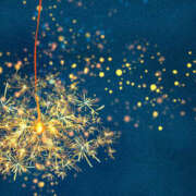 ヒメ日記 2025/07/03 14:11 投稿 上戸 あなたに逢いたくて