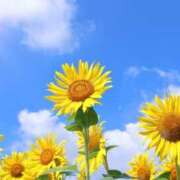 ヒメ日記 2025/07/30 13:47 投稿 上戸 あなたに逢いたくて