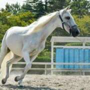 ヒメ日記 2025/09/25 17:26 投稿 上戸 あなたに逢いたくて