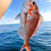 ヒメ日記 2025/12/26 15:17 投稿 上戸 あなたに逢いたくて