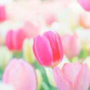 ヒメ日記 2026/02/13 11:57 投稿 上戸 あなたに逢いたくて