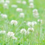 上戸 ありがとうH様🌸 あなたに逢いたくて