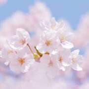 ヒメ日記 2026/03/11 20:17 投稿 上戸 あなたに逢いたくて