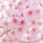 ヒメ日記 2026/03/31 16:07 投稿 上戸 あなたに逢いたくて