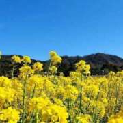 上戸 ありがとうS様🌷 あなたに逢いたくて