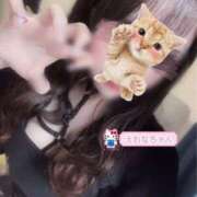 ヒメ日記 2025/05/09 03:25 投稿 美鈴 えれな テレジア横浜