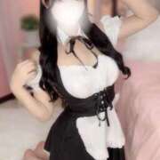 ヒメ日記 2025/03/20 12:03 投稿 メロディ 今こそ!にゃんにゃん学園