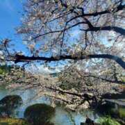 ヒメ日記 2025/04/06 23:19 投稿 えま ハイブリッドヘルス小岩中央